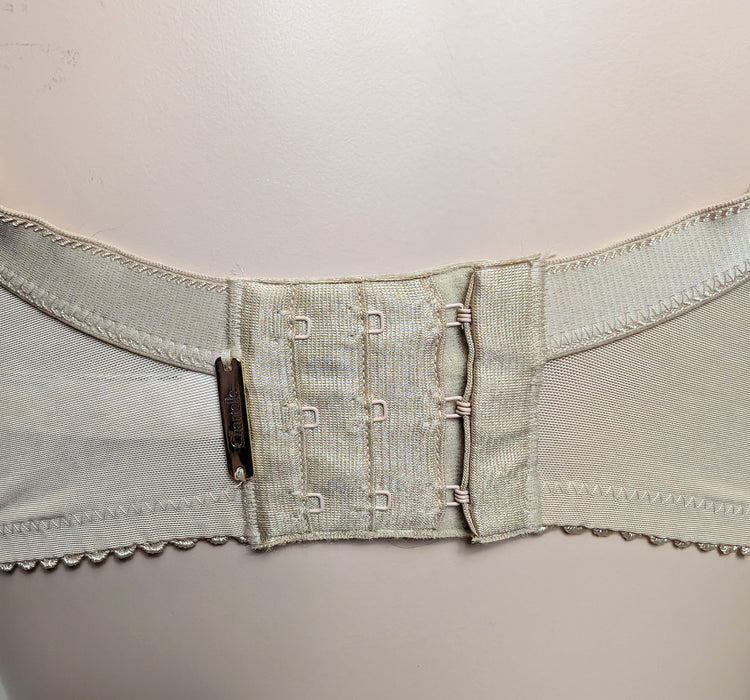 Chantelle Cachemire, a plus size full cup bra. Color Beige. Style 3371. Back view.