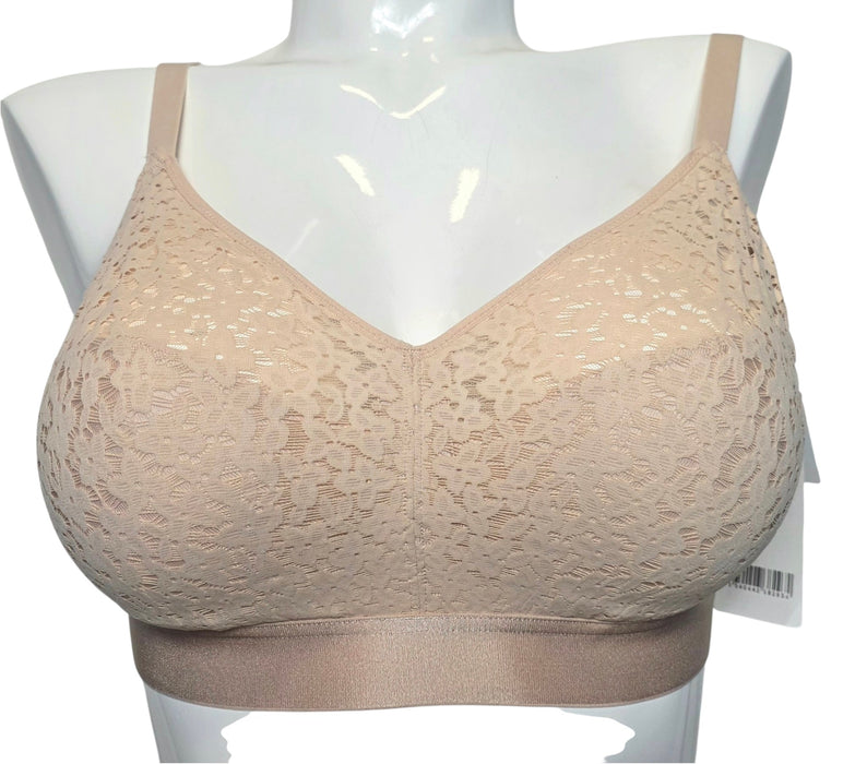 Chantelle Norah | 13F8 Wireless