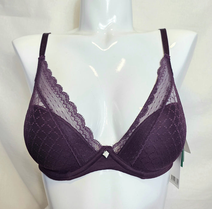 Chantelle Norah | C16MNA Plunge