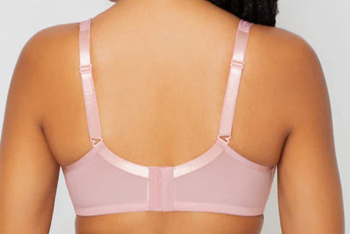 Curvy Couture Sheer Mesh | 1310 Plunge