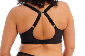 Elomi Charley | EL4382 Plunge