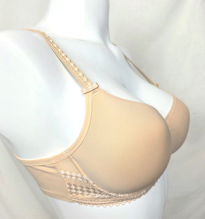 Fantasie Rebecca | FL2024 Tshirt