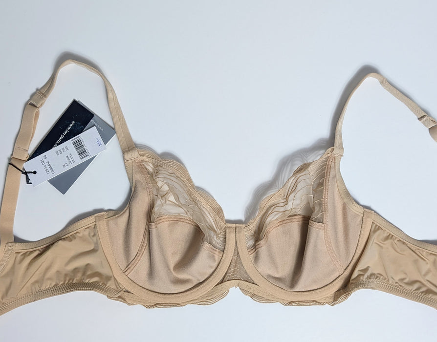 Lou | 12596 Full Cup