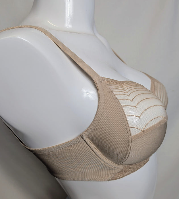 Lou | 12596 Full Cup