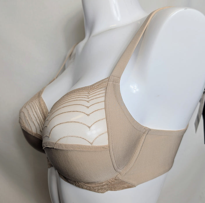 Lou | 12596 Full Cup