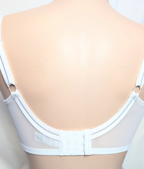 Panache Fern | 6291 Balconette