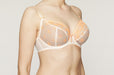 This discontinued Freya bra, Siren, is great for ladies looking for bargain, low price, bras. A plunge bra with sheer mesh cups. Color Sunkissed. Style AA1031.