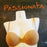 The Passionata Smooth is smooth for a reason, it offers a smooth sculpted look under your clothes. An ideal everyday bra. Style 4016. 
