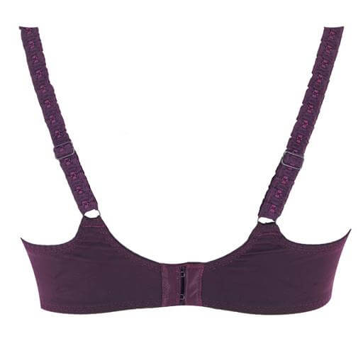 A best bra, no doubt, Empreinte Carmen, a balconette bra with great support and gorgeous see through mesh cups with amazing embroidery. Color Iris. Style 08188.